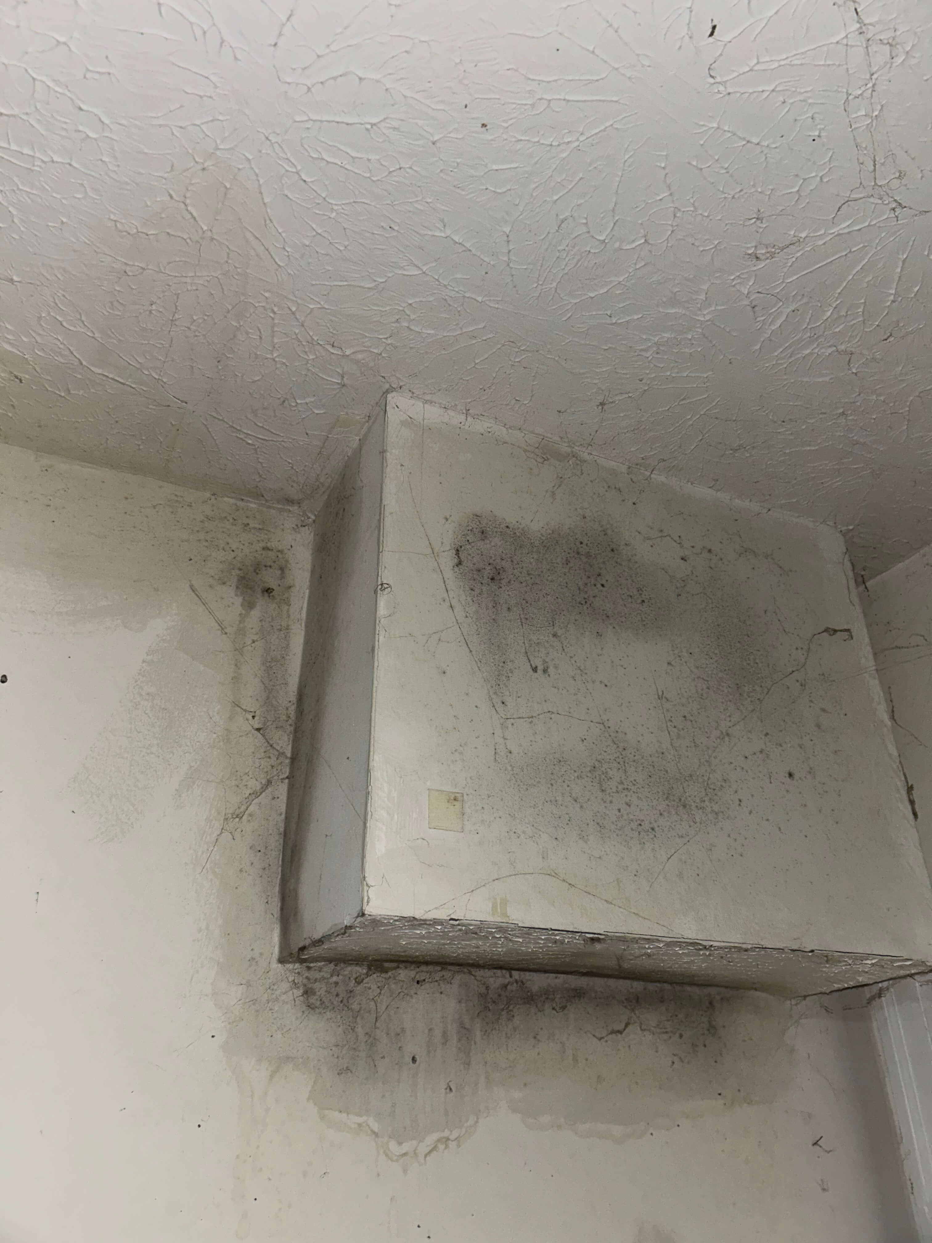 Before - Mold Remediation & Sheetrock Repair